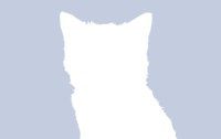 φωτογραφίες προφίλ για το facebook Kitten