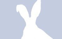 φωτογραφίες προφίλ για το facebook Rabbit