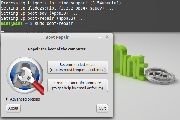 διαγραφή Windows από Linux Mint - Ubuntu Dual-boot 22