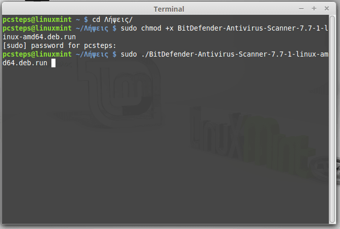 Έλεγχος για Ιούς στο Linux με το Bitdefender For Unices 06