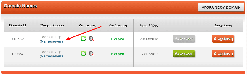 Σύνδεση Domain με το Server Φιλοξενίας Nameservers 05