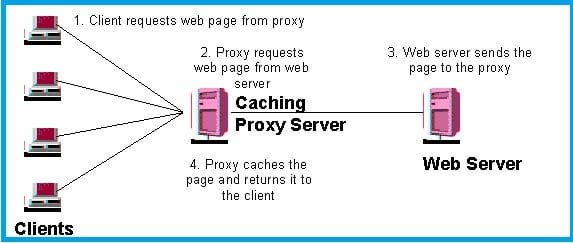 proxy-12 (1)