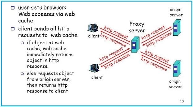 proxy 13 (Small)