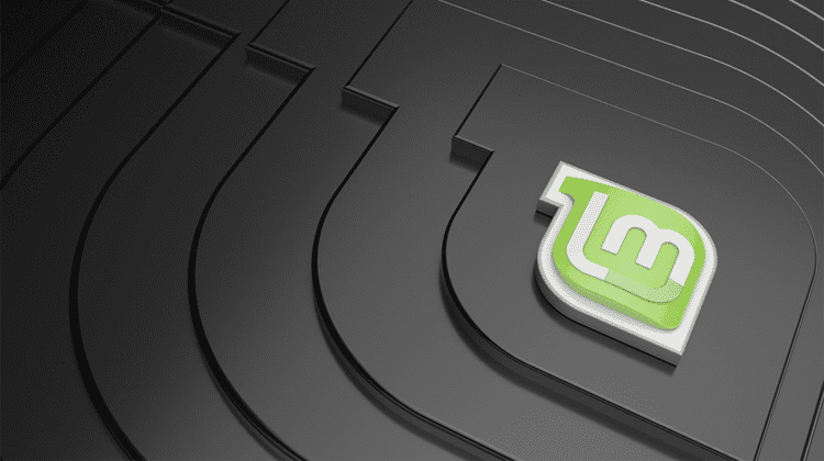 Εγκατάσταση Linux Mint