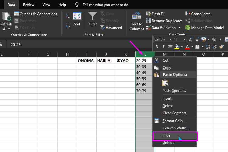 Αναπτυσσόμενη λίστα Excel 1Ηλλ