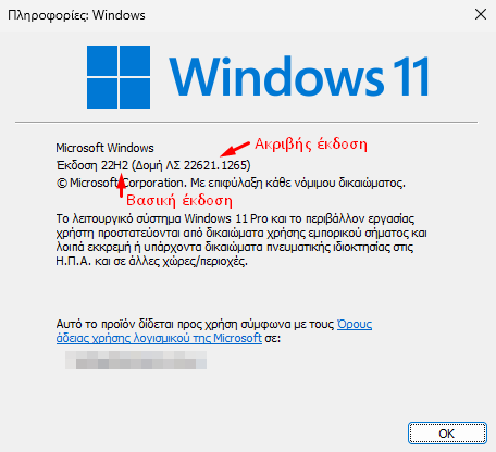 QuickSteps#264 - Αναπαραγωγή Βίντεο Και Εφαρμογές Microsoft Store, Έκδοση Λειτουργικού Windows 11