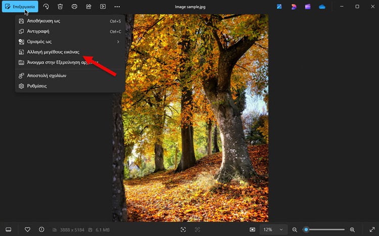 Windows 11 Photos_02