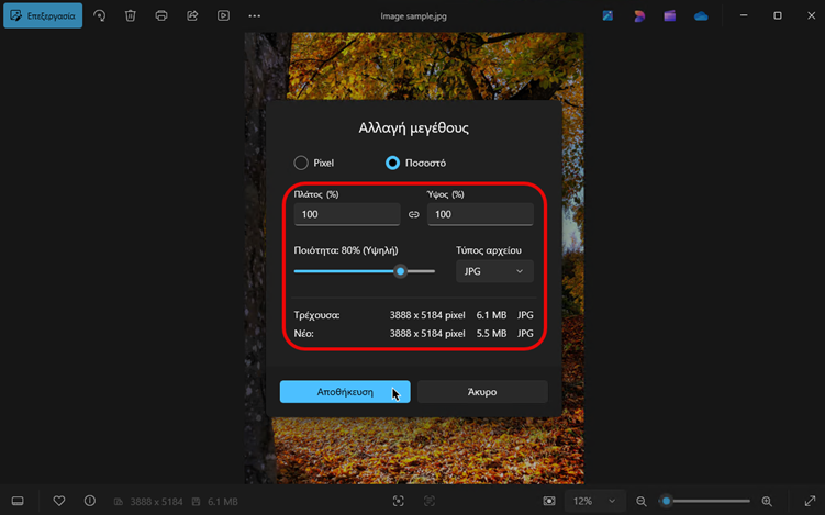 Windows 11 Photos_04