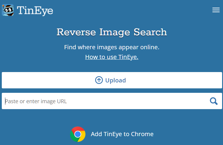 Reverse Image Search 1